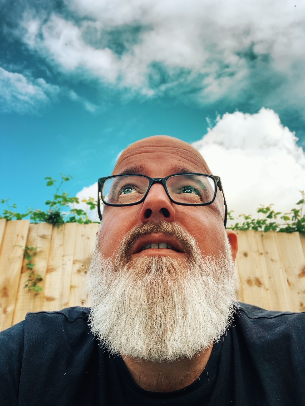 A rather arty yet fetching photo of your host, Guy Carberry, looking wistfully toward a sky of puffy clouds and opportunity.